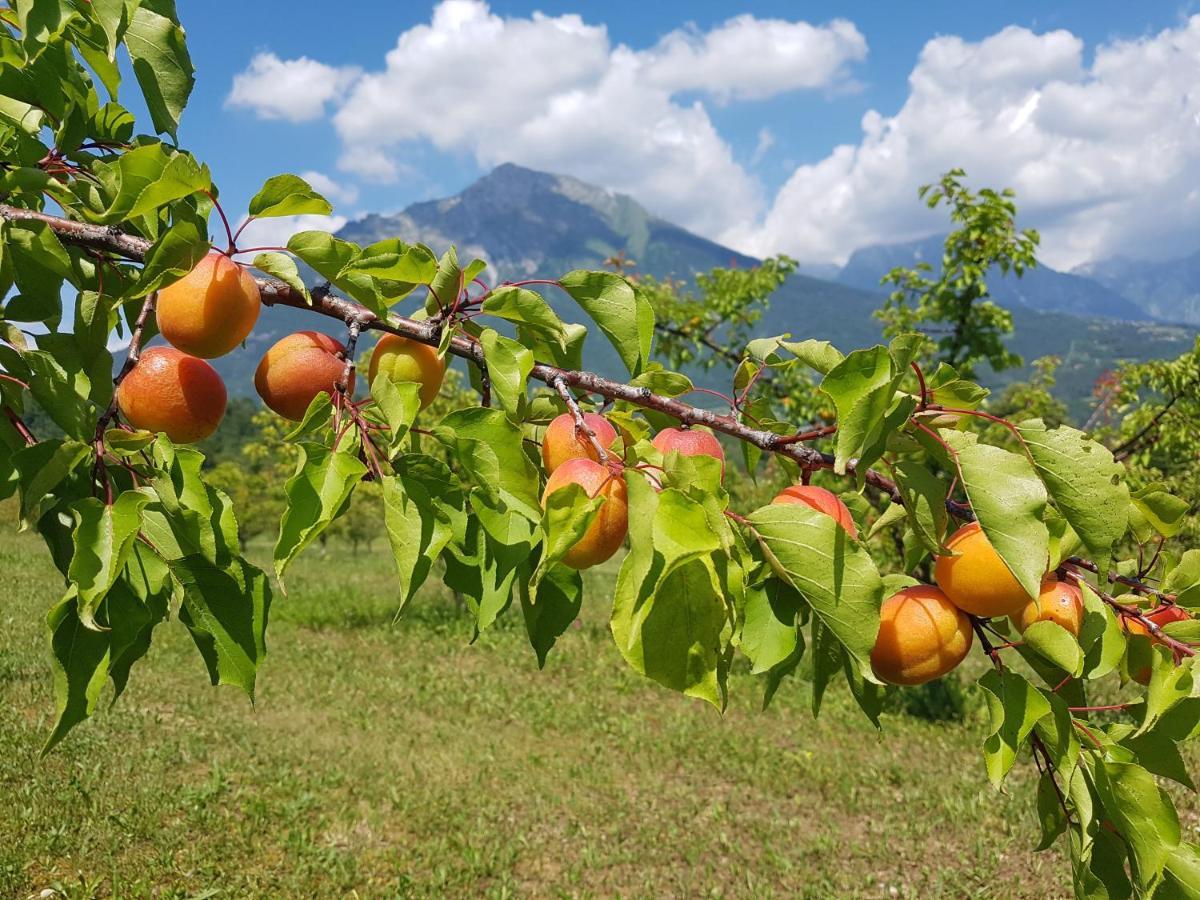 Agriturismo La Giasena Ponte nellʼAlpi Eksteriør bilde