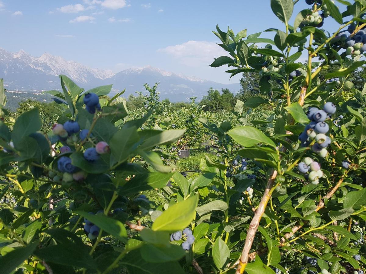Agriturismo La Giasena Ponte nellʼAlpi Eksteriør bilde