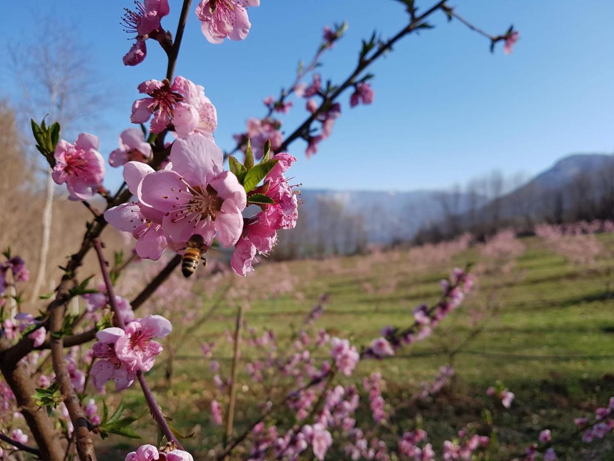 Agriturismo La Giasena Ponte nellʼAlpi Eksteriør bilde