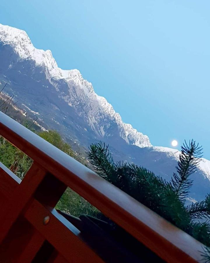 Agriturismo La Giasena Ponte nellʼAlpi Eksteriør bilde
