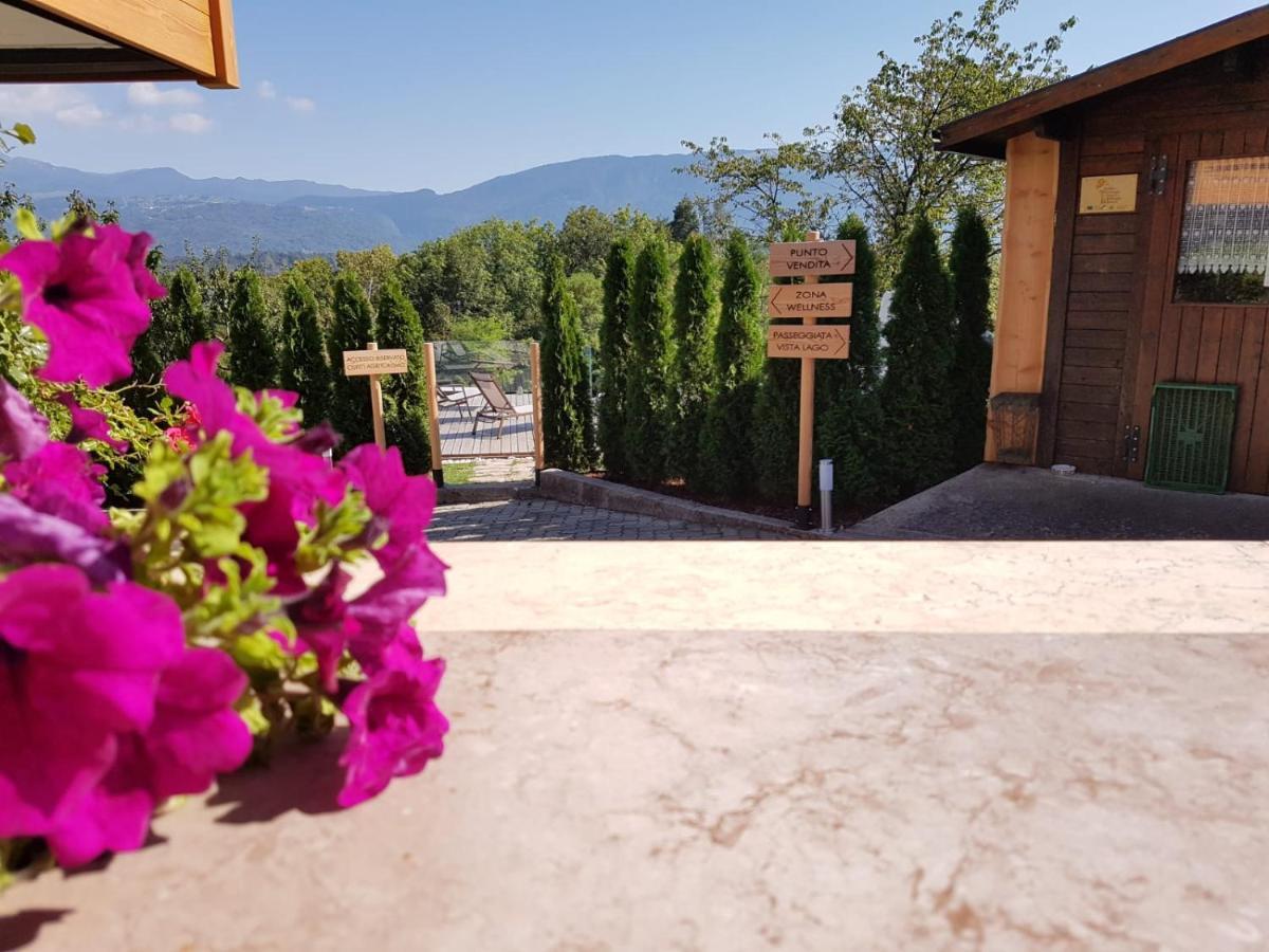 Agriturismo La Giasena Ponte nellʼAlpi Eksteriør bilde